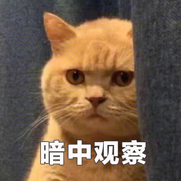 0 小s冷漠脸 0 黑人脸 0 黑人问号脸 0 交个朋友吧 0 一脸正经 0 暗中
